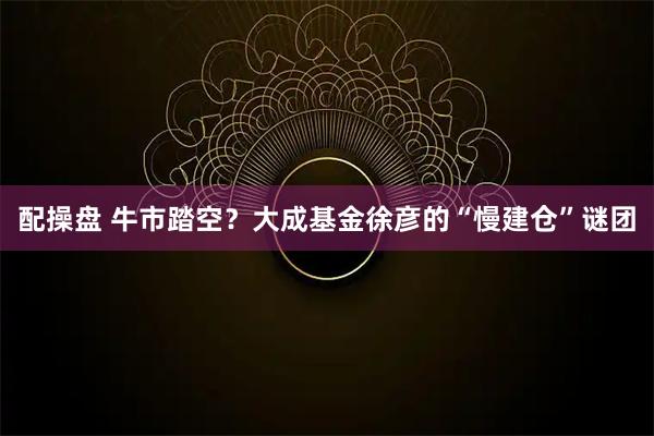 配操盘 牛市踏空？大成基金徐彦的“慢建仓”谜团