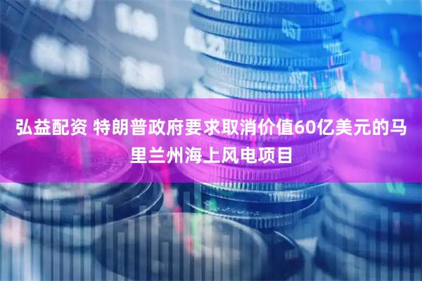 弘益配资 特朗普政府要求取消价值60亿美元的马里兰州海上风电项目