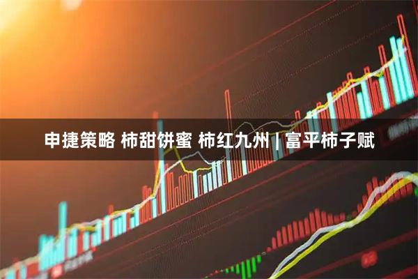 申捷策略 柿甜饼蜜 柿红九州 | 富平柿子赋