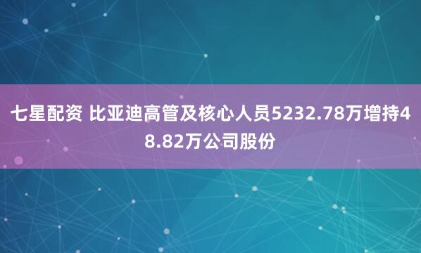七星配资 比亚迪高管及核心人员5232.78万增持48.82万公司股份