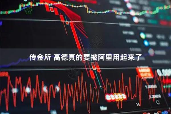 传金所 高德真的要被阿里用起来了