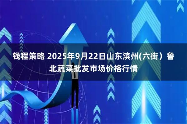 钱程策略 2025年9月22日山东滨州(六街）鲁北蔬菜批发市场价格行情