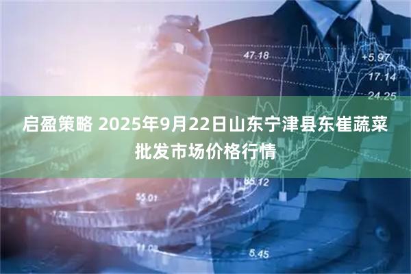 启盈策略 2025年9月22日山东宁津县东崔蔬菜批发市场价格行情