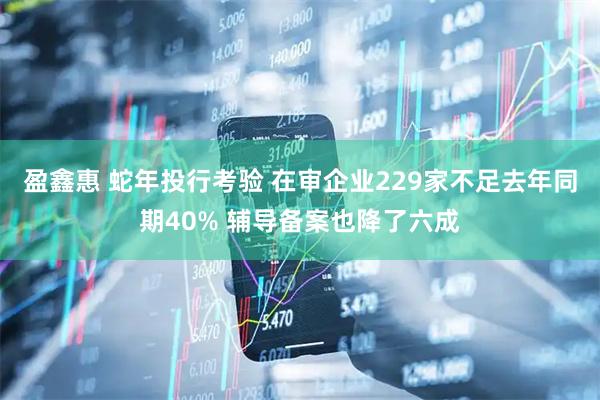 盈鑫惠 蛇年投行考验 在审企业229家不足去年同期40% 辅导备案也降了六成
