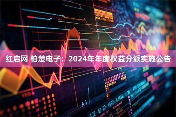 红启网 柏楚电子：2024年年度权益分派实施公告