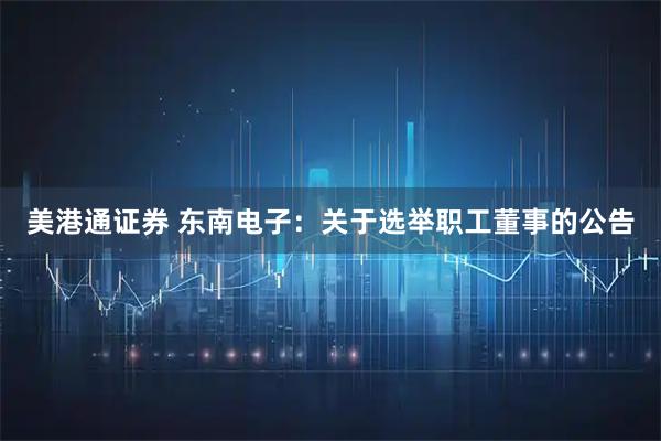 美港通证券 东南电子：关于选举职工董事的公告