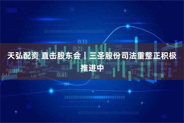 天弘配资 直击股东会｜三圣股份司法重整正积极推进中