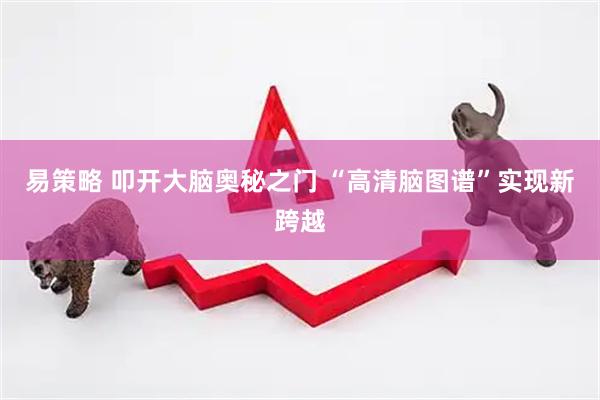 易策略 叩开大脑奥秘之门 “高清脑图谱”实现新跨越