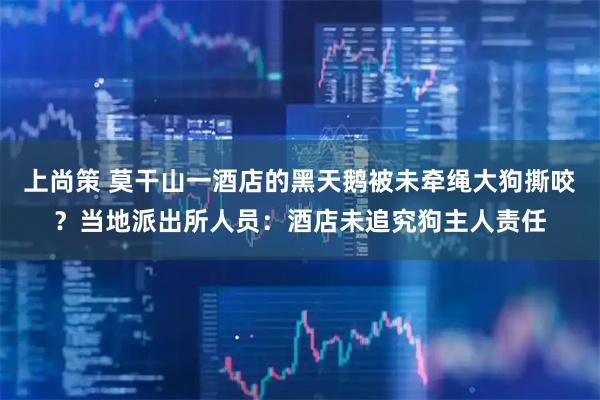 上尚策 莫干山一酒店的黑天鹅被未牵绳大狗撕咬？当地派出所人员：酒店未追究狗主人责任