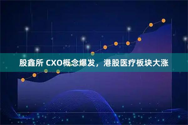 股鑫所 CXO概念爆发,港股医疗板块大涨