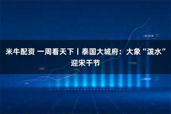 米牛配资 一周看天下丨泰国大城府:大象“泼水”迎宋干节